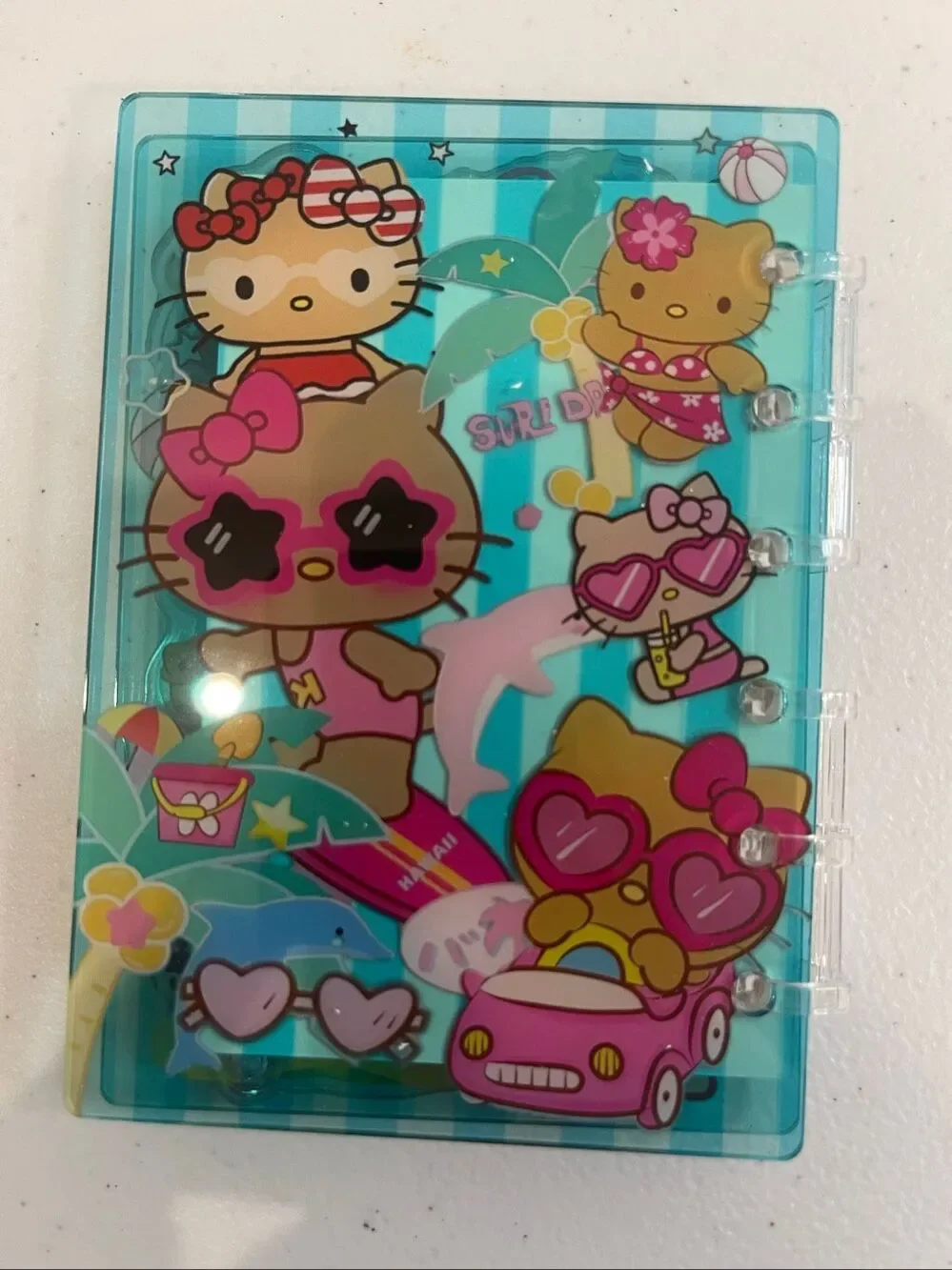 Hello Kitty Acrylic Shaker Notebook and pen